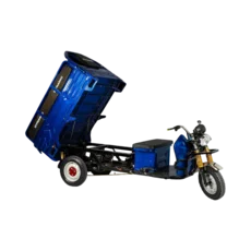 Dynamic Cars Model
