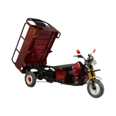 Dynamic Cars Model